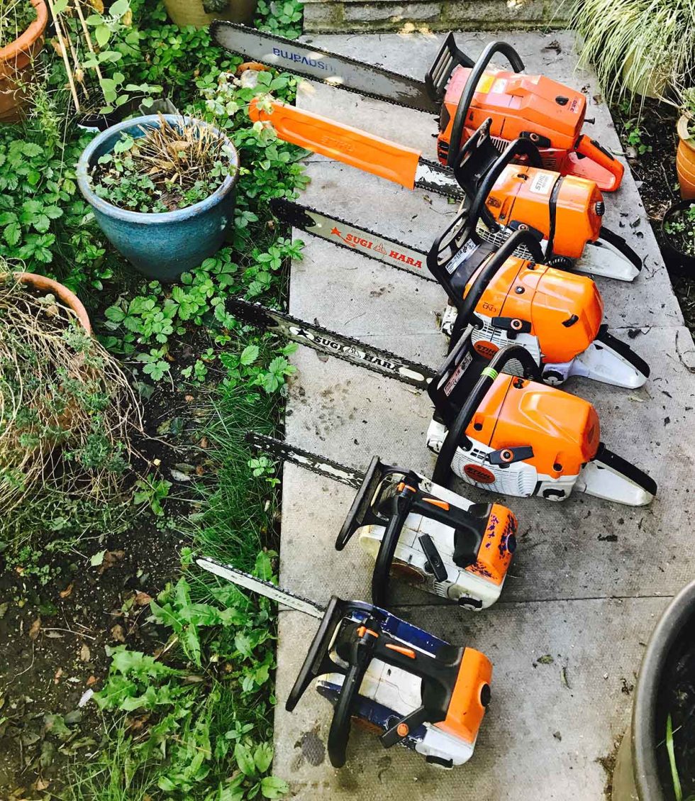 Services Lewis Tree Care