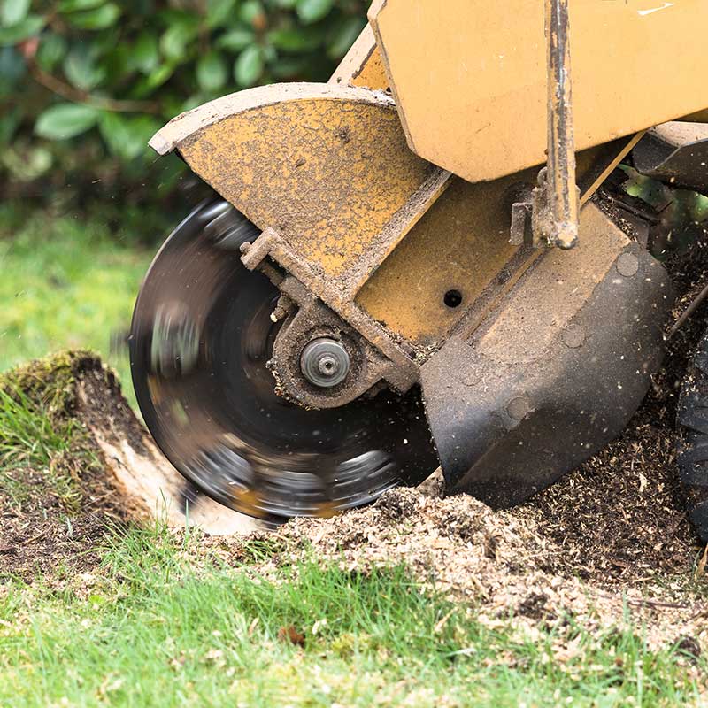 Homemade Stump Grinder