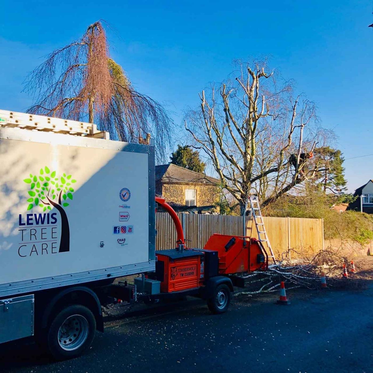 Tree Surgery Lewis Tree Care